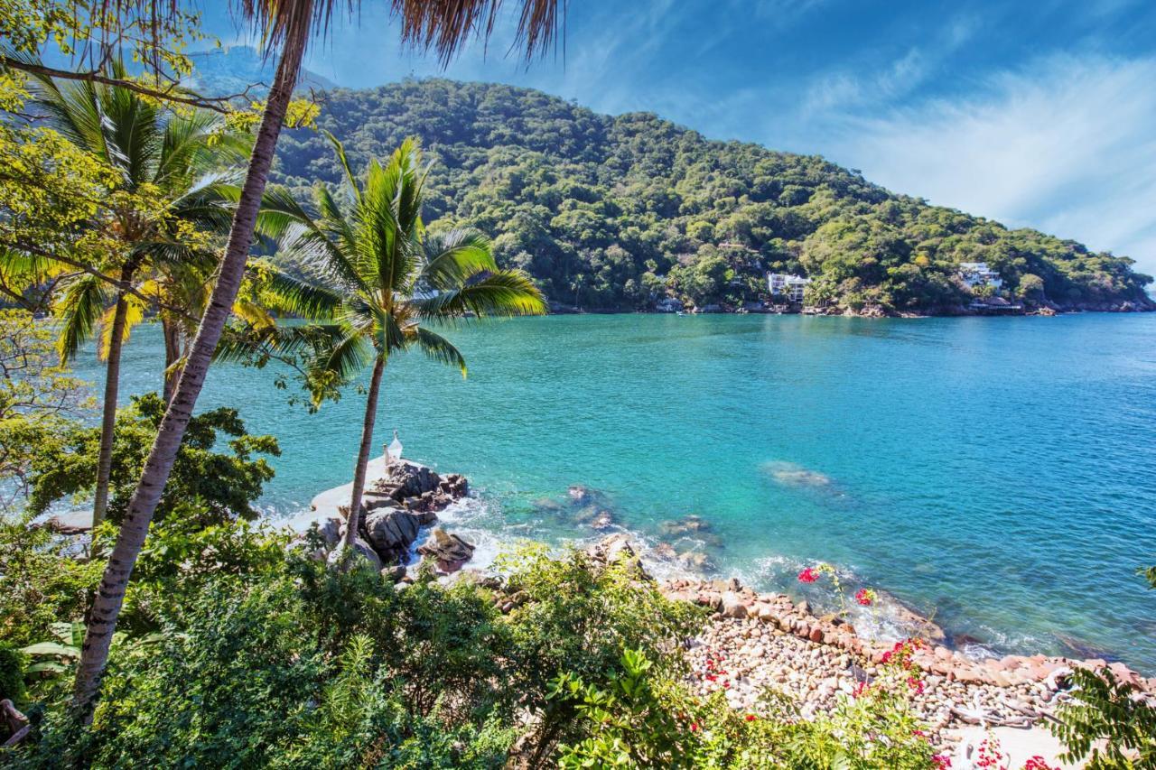 Villa Lala Boutique Hotel Adults Only Puerto Vallarta Exterior photo